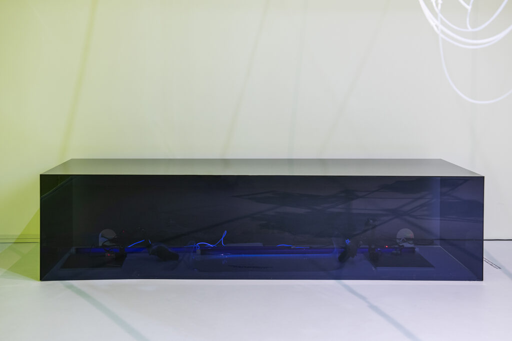 fungusrobot2 port 02