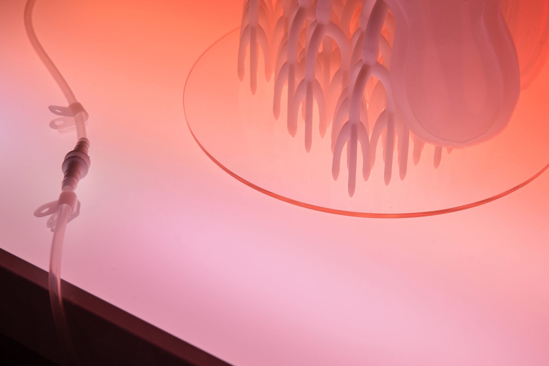 photo credit: chadpark/@wavefilm