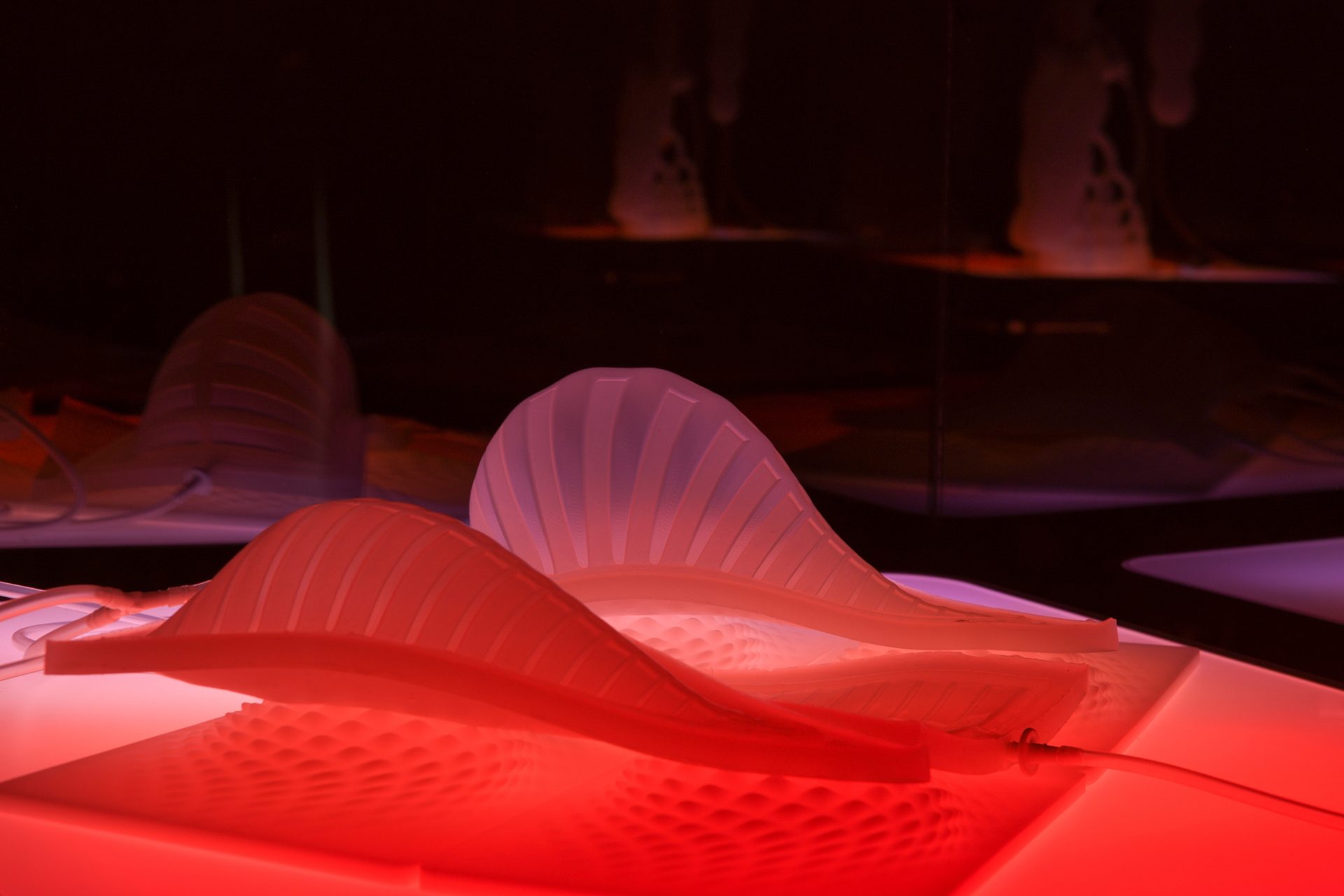 photo credit: chadpark/@wavefilm