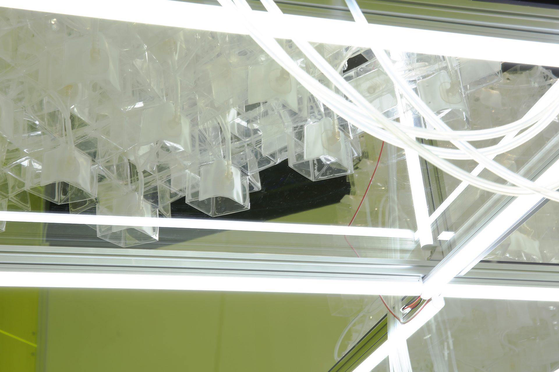 fungusrobot1 port 04