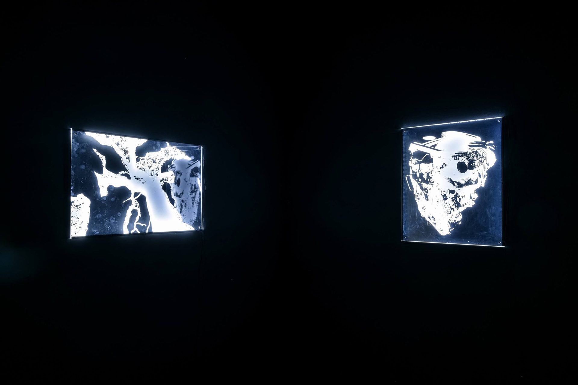 photo credit: chadpark/@wavefilm